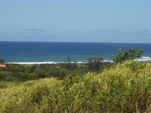 753 m² Land available in Sea Park