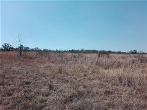 5.2 ha Farm in Donkerhoek