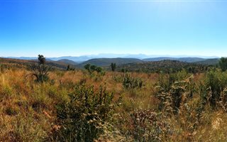 1528 ha Farm in Rooiberg