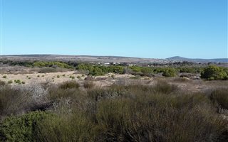 2.3 ha Land available in Long Acres