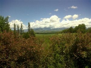 4631 m² Land available in Underberg