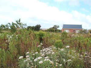 705 m² Land available in Bettys Bay