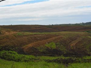 84 ha Farmland in Izotsha