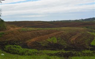 84 ha Farmland in Izotsha