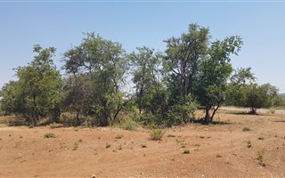 1060 m² Land available in Tijger Valley and surrounds