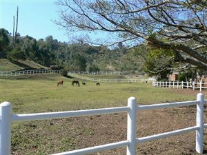 4 Bed House in Assagay