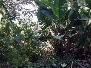 1085 m² Land available in Hibberdene