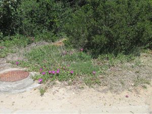 1043 m² Land available in Great Brak River