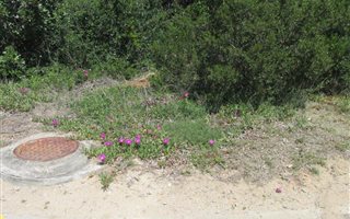 1043 m² Land available in Great Brak River