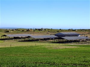 426 ha Farm in Paternoster