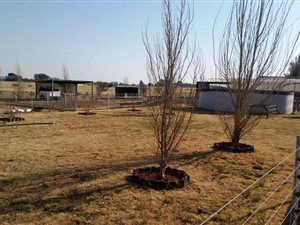 10 ha Farm in Bloemdal