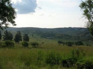 13.6 ha Land available in Vlakplaats