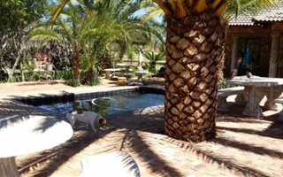 Game Farm in Leeuwfontein