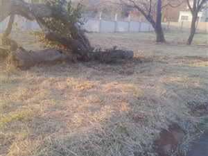 715 m² Land available in Amandasig