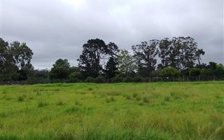 1230 m² Land available in George Central
