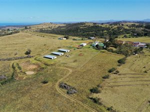 39 ha Farm in Thornhill