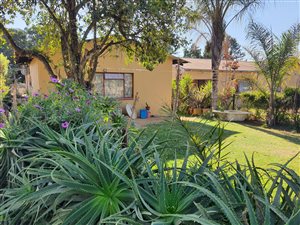 8 ha Farm in Tweefontein