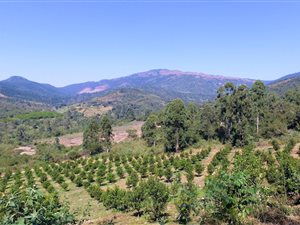 15.8 ha Farm in Nelspruit
