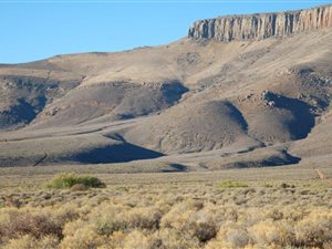 3132 ha Farm in Ceres