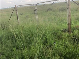 4.1 ha Land available in Henley on Klip