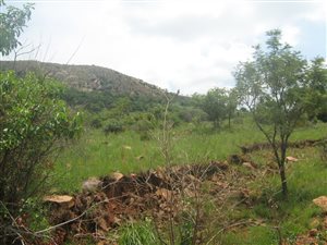 2 ha Land available in Kameeldrift