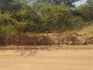 5653 ha Land available in Lethlabile
