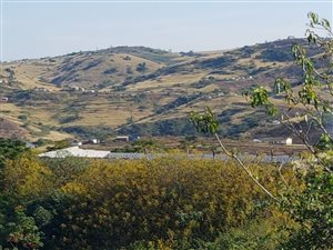 4 ha Farm in Craigieburn