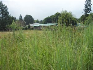 1115 m² Land available in Graskop