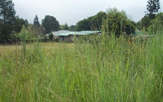 1115 m² Land available in Graskop