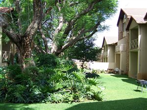 1 Bed Flat in Hillcrest