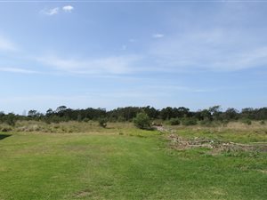 8.6 ha Farm in East London Central