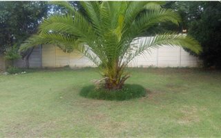 1 Bedroom Garden Cottage in Bromhof