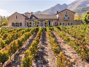 5 Bed House in Franschhoek