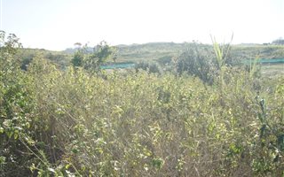 1091 m² Land available in Mount Richmore Estate