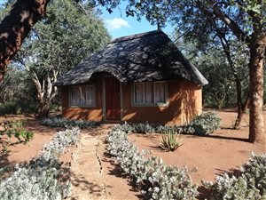 149 ha Farm in Tzaneen