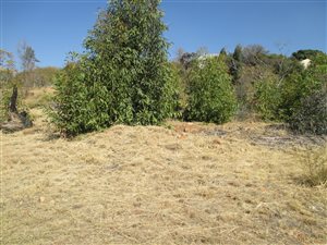 1307 m² Land available in Kameeldrift East