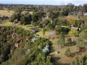 8.7 ha Farm in Plettenberg Bay