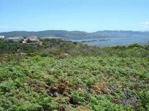1026 m² Land available in Pezula Golf Estate