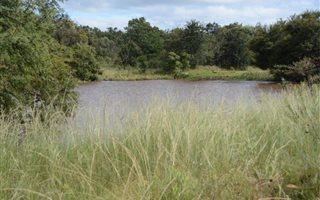 3894 m² Farm in Middelburg