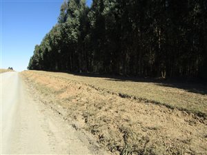 22 ha Land available in Lidgetton
