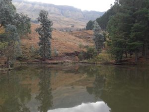 27 ha Farm in Kamberg