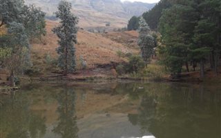 27 ha Farm in Kamberg
