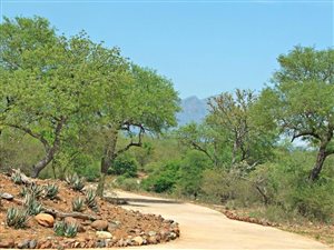 5757 m² Land available in Blyde Wildlife Estate