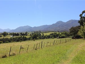 4 ha Farm in Blanco