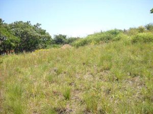 3.5 ha Land available in Shallcross