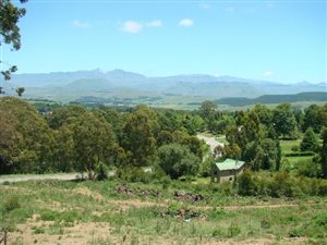 6 ha Land available in Underberg