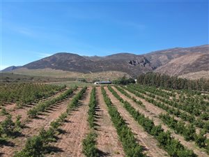 452.7 ha Farm in McGregor