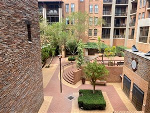 1 Bed Apartment in Newlands