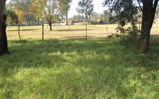 1034 m² Land available in Pollak Park