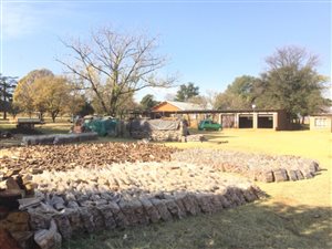 22.5 ha Farm in Bapsfontein